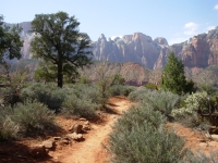 Watchman Trail in Zion